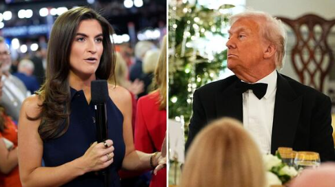 Kaitlan Collins Donald Trump Blank Meme Template