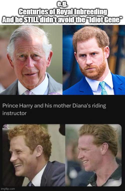 e.g.
 Centuries of Royal Inbreeding
And he STILL didn't avoid the "Idiot Gene" | made w/ Imgflip meme maker