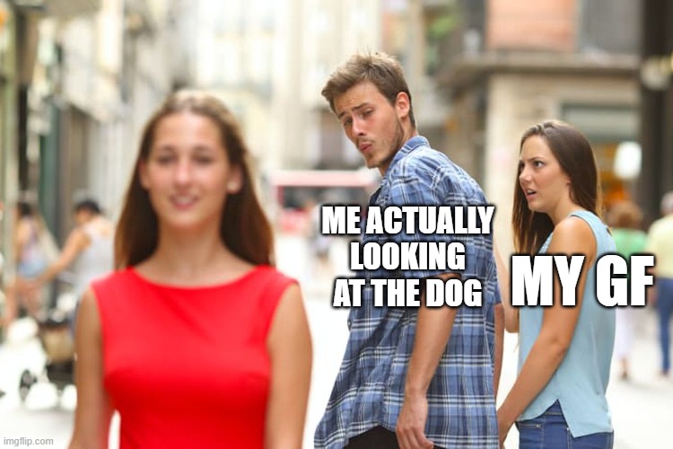 Distracted Boyfriend Meme | ME ACTUALLY LOOKING AT THE DOG; MY GF | image tagged in memes,distracted boyfriend | made w/ Imgflip meme maker