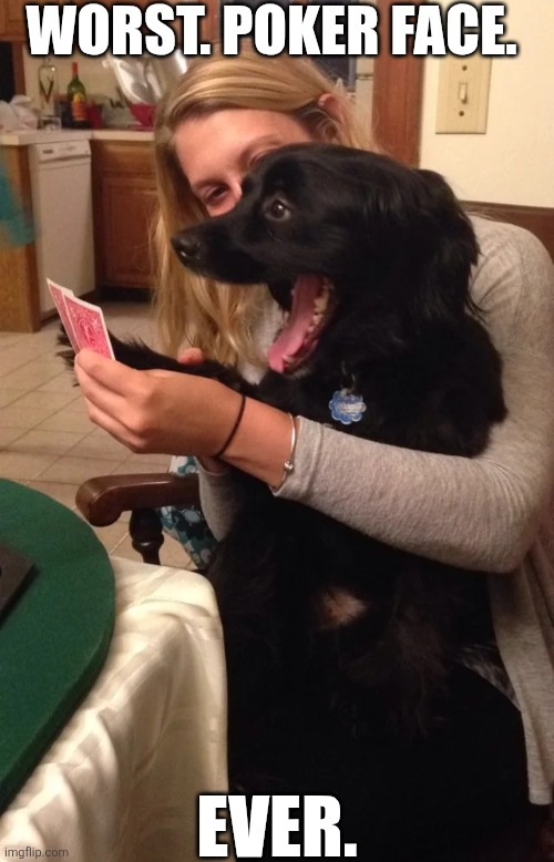 Worst Poker Face Ever | WORST. POKER FACE. EVER. | image tagged in chrisjoines1 | made w/ Imgflip meme maker