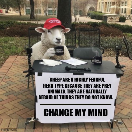 CHANGE MY MIND | SHEEP ARE A HIGHLY FEARFUL HERD TYPE BECAUSE THEY ARE PREY ANIMALS. THEY ARE NATURALLY AFRAID OF THINGS THEY DO NOT KNOW. CHANGE MY MIND | image tagged in change my mind,trump,maga,sheep,fearful,herd type | made w/ Imgflip meme maker