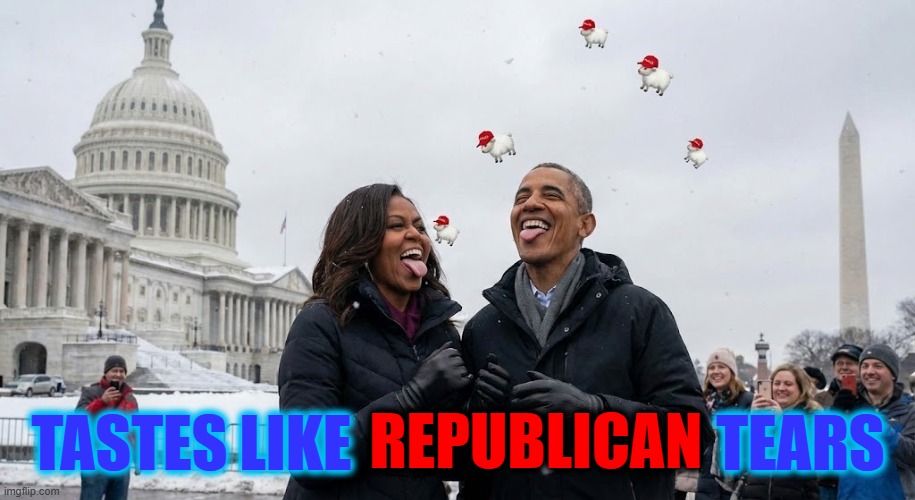 TASTES LIKE REPUBLICAN TEARS | TASTES LIKE                              TEARS; REPUBLICAN | image tagged in tastes like,barack obama,michelle obama,snowflake,maga,republican | made w/ Imgflip meme maker