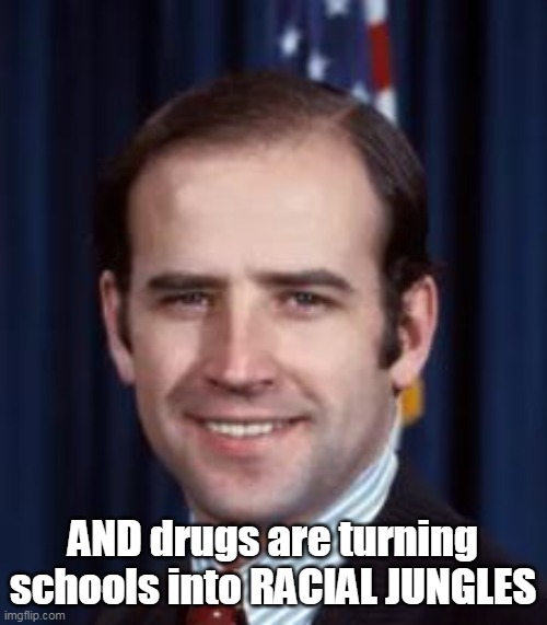 AND drugs are turning schools into RACIAL JUNGLES | made w/ Imgflip meme maker