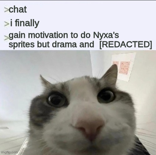 what tdo I do | chat; i finally; gain motivation to do Nyxa's sprites but drama and  [REDACTED] | image tagged in cat looks inside | made w/ Imgflip meme maker