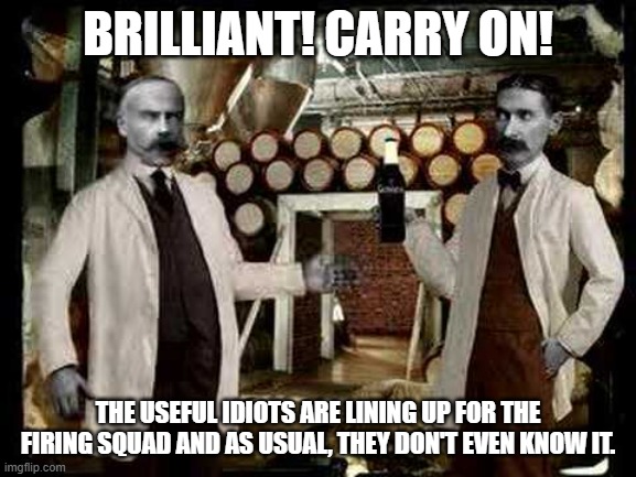 Brilliant! | BRILLIANT! CARRY ON! THE USEFUL IDIOTS ARE LINING UP FOR THE FIRING SQUAD AND AS USUAL, THEY DON'T EVEN KNOW IT. | image tagged in brilliant | made w/ Imgflip meme maker