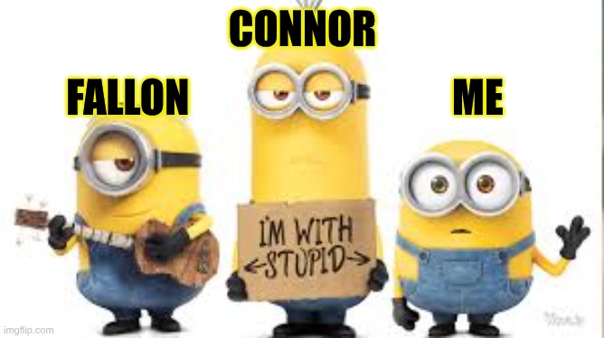 RAWR | CONNOR; FALLON                                 ME | image tagged in meme | made w/ Imgflip meme maker