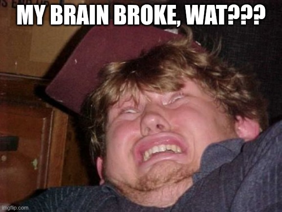 WTF Meme | MY BRAIN BROKE, WAT??? | image tagged in memes,wtf | made w/ Imgflip meme maker