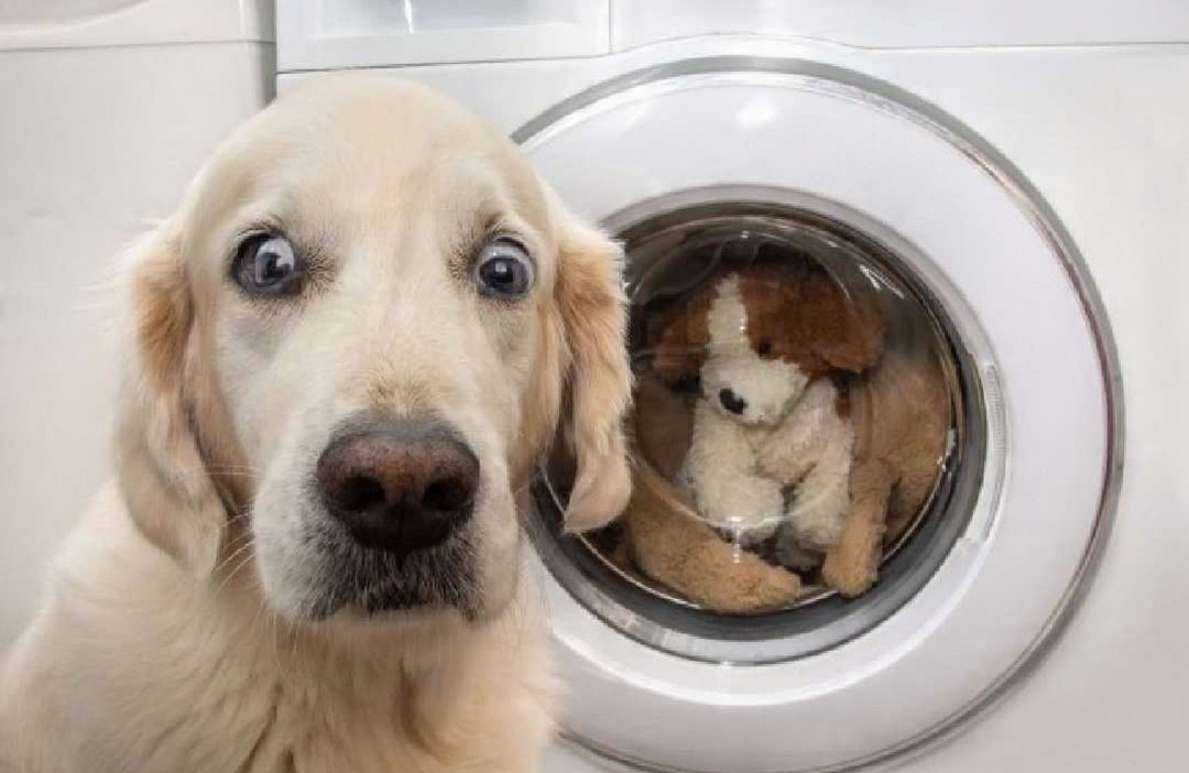 Chrisjoines1 Blank Meme Template