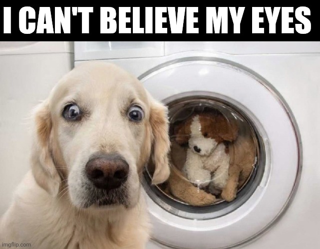 I Can't Believe My Eyes | I CAN'T BELIEVE MY EYES | image tagged in chrisjoines1 | made w/ Imgflip meme maker