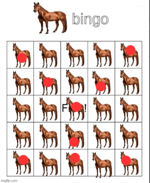 ? Bingo | image tagged in bingo | made w/ Imgflip meme maker