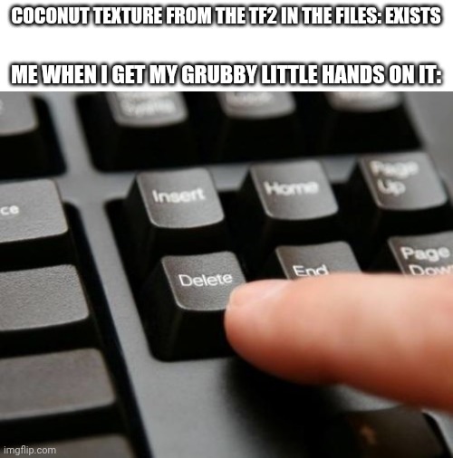 Delete | COCONUT TEXTURE FROM THE TF2 IN THE FILES: EXISTS; ME WHEN I GET MY GRUBBY LITTLE HANDS ON IT: | image tagged in delete,tf2,coconut | made w/ Imgflip meme maker