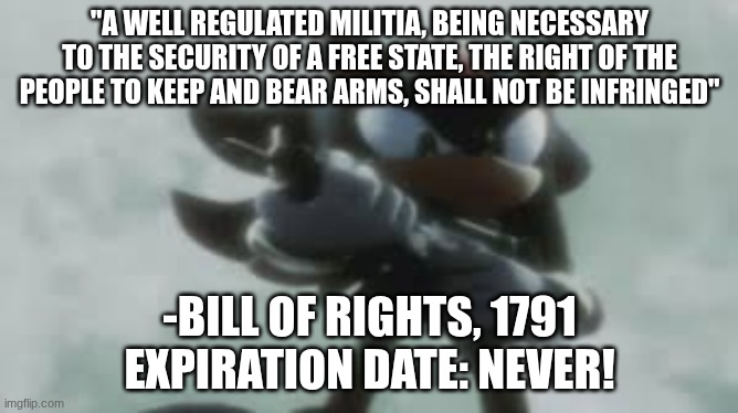 "My view on gun rights is that I'm DAMN RIGHT, baby!" Shadow, 2005 | "A WELL REGULATED MILITIA, BEING NECESSARY TO THE SECURITY OF A FREE STATE, THE RIGHT OF THE PEOPLE TO KEEP AND BEAR ARMS, SHALL NOT BE INFRINGED"; -BILL OF RIGHTS, 1791
EXPIRATION DATE: NEVER! | image tagged in shadow the hedgehog with a gun | made w/ Imgflip meme maker