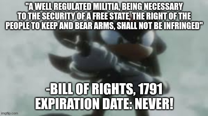 "My view on gun rights is that I'm DAMN RIGHT, baby!" Shadow, 2005 | image tagged in shadow the hedgehog,bill of rights,second amendment | made w/ Imgflip meme maker