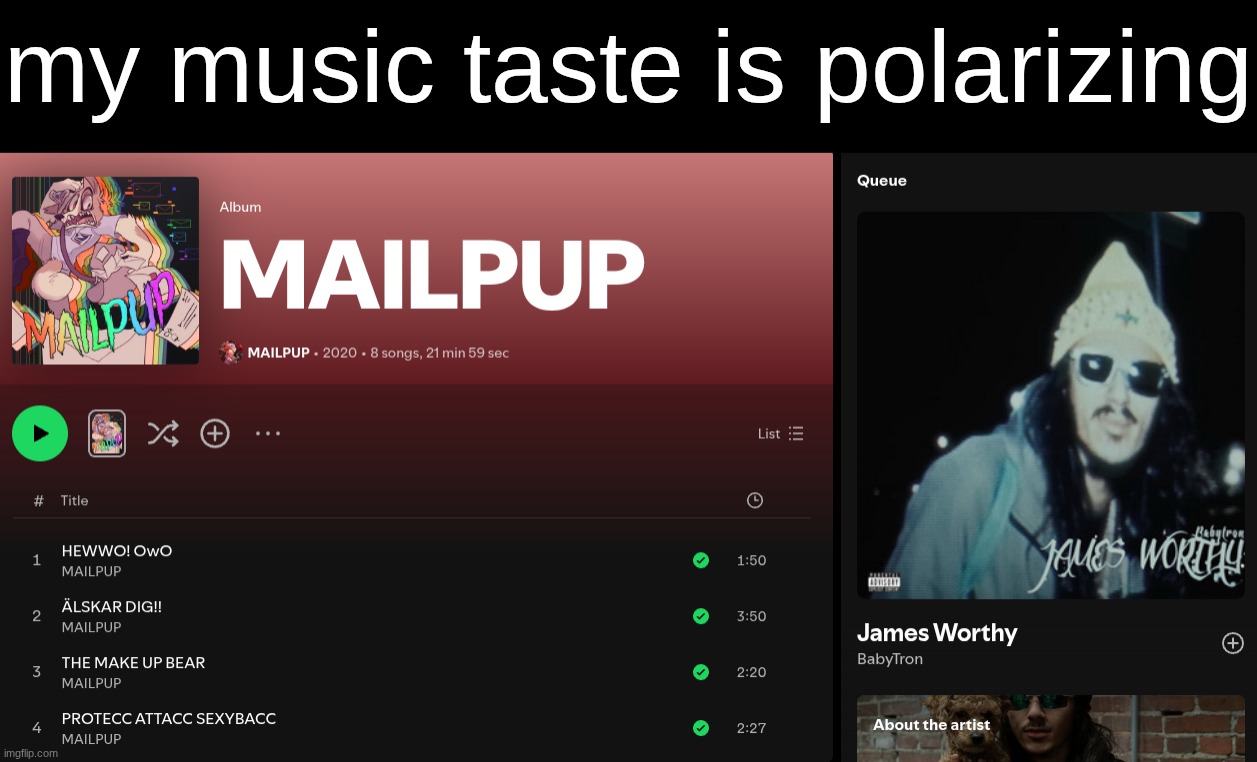 my music taste is polarizing | made w/ Imgflip meme maker