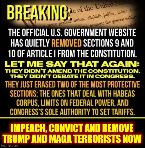 IMPEACH, CONVICT AND REMOVE | IMPEACH, CONVICT AND REMOVE TRUMP AND MAGA TERRORISTS NOW | image tagged in impeach trump,lock him up,trump is a terrorist,trump unfit unqualified dangerous,nazis,memes | made w/ Imgflip meme maker