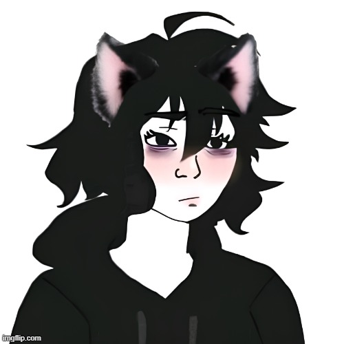 Catgirl wojak | image tagged in catgirl wojak | made w/ Imgflip meme maker