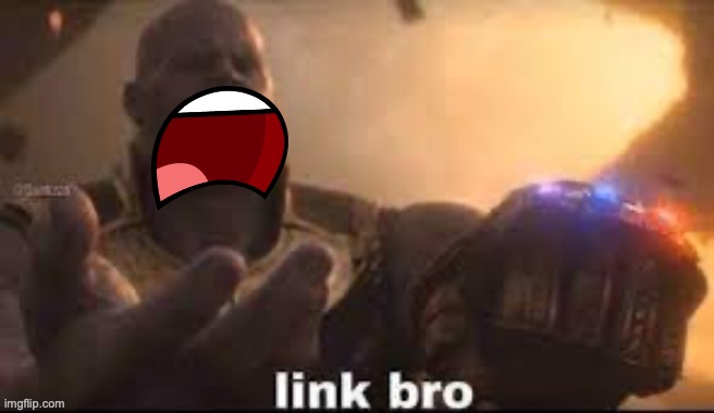 link bro | image tagged in link bro | made w/ Imgflip meme maker