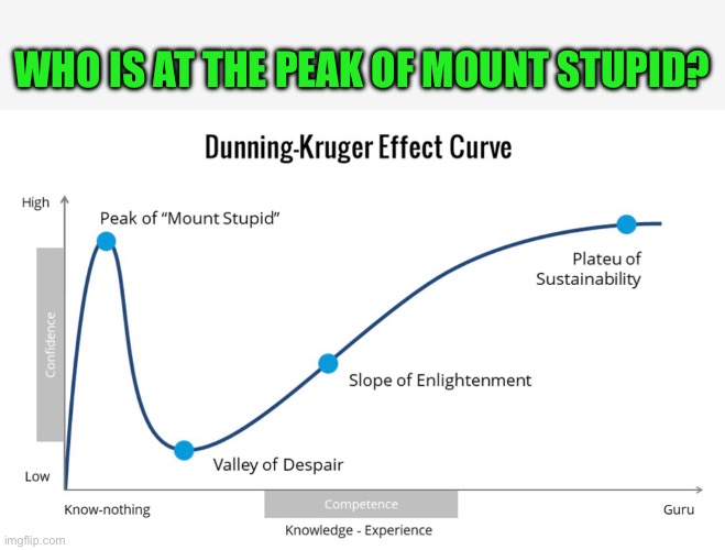 Who is at the peak of mount stupid? | WHO IS AT THE PEAK OF MOUNT STUPID? | image tagged in dunning-kruger effect,funny,memes,political,mount stupid | made w/ Imgflip meme maker