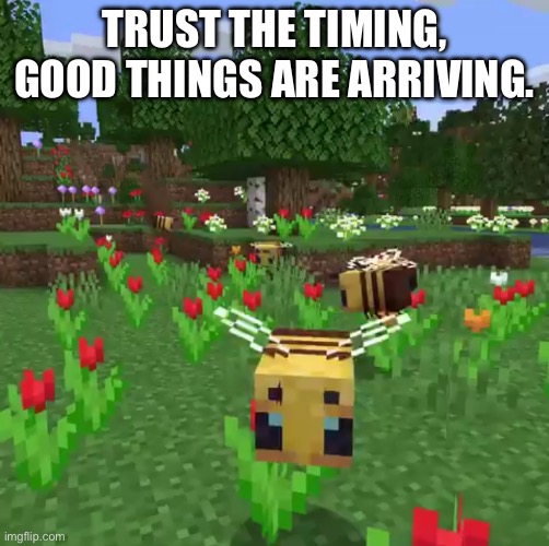 Good things are coming | TRUST THE TIMING, GOOD THINGS ARE ARRIVING. | image tagged in minecraft bees,wholesome,nature,spirituality,affirmation | made w/ Imgflip meme maker