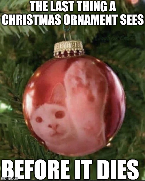 The Last Thing A Christmas Ornament Sees | THE LAST THING A CHRISTMAS ORNAMENT SEES; BEFORE IT DIES | image tagged in chrisjoines1 | made w/ Imgflip meme maker