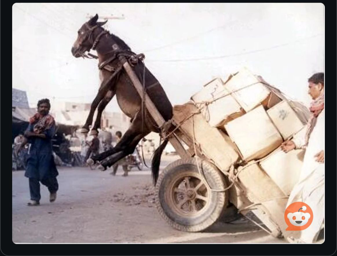 Donkey down Blank Meme Template