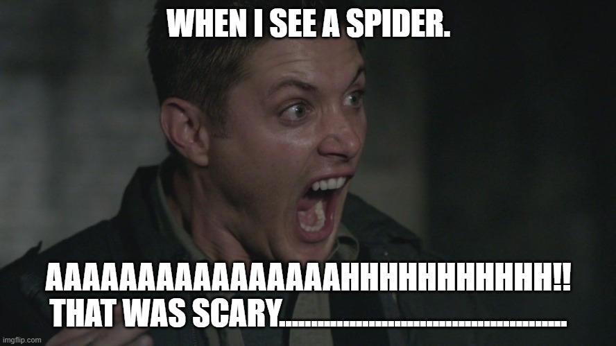 arachinaphobia | WHEN I SEE A SPIDER. AAAAAAAAAAAAAAAAHHHHHHHHHHH!!
THAT WAS SCARY............................................. | image tagged in supernatural dean scared | made w/ Imgflip meme maker