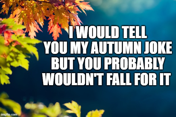 Autumn Joke | I WOULD TELL YOU MY AUTUMN JOKE BUT YOU PROBABLY WOULDN'T FALL FOR IT | image tagged in autumn joke | made w/ Imgflip meme maker