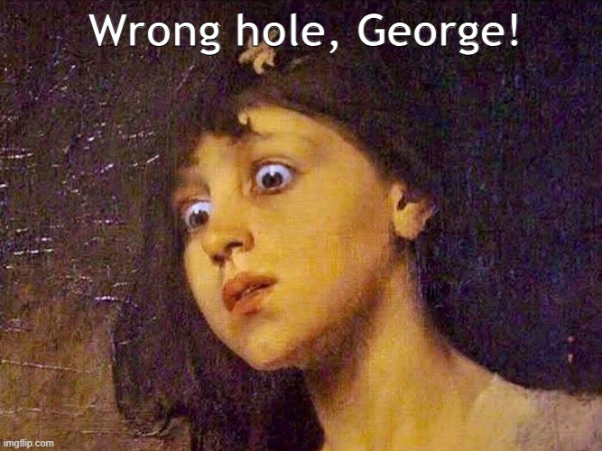 Wrong hole, George! | image tagged in fun | made w/ Imgflip meme maker