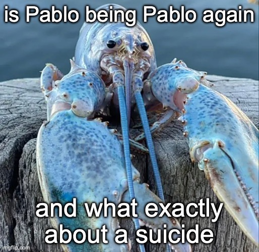 The Blue Lobster | is Pablo being Pablo again; and what exactly about a suicide | image tagged in the blue lobster | made w/ Imgflip meme maker
