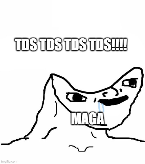 Retard wojak | TDS TDS TDS TDS!!!! MAGA | image tagged in retard wojak | made w/ Imgflip meme maker