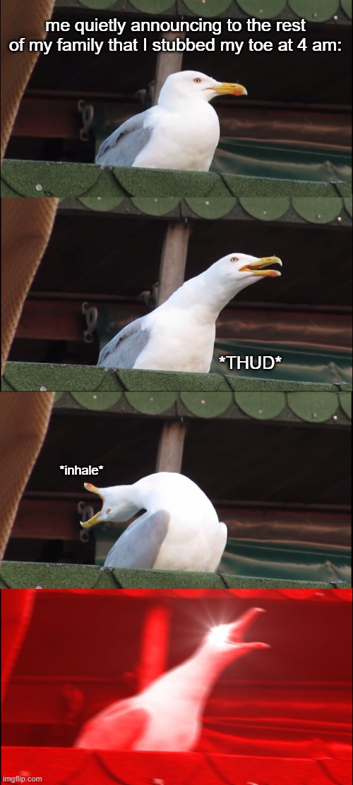 AAAAAAAAAAAAAAAAAAAA | me quietly announcing to the rest of my family that I stubbed my toe at 4 am:; *THUD*; *inhale* | image tagged in memes,inhaling seagull | made w/ Imgflip meme maker