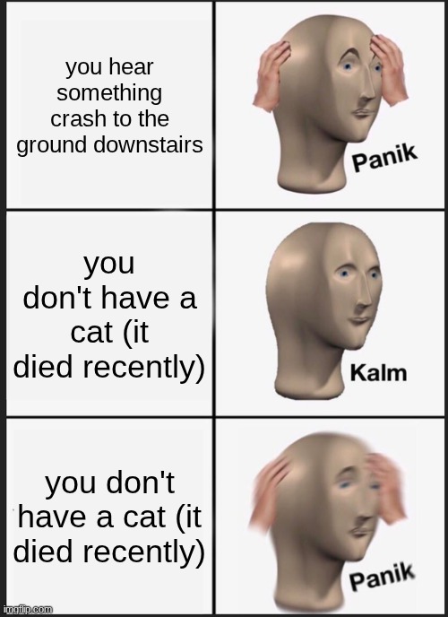 uh oh.... Intruder! Intruder! Intruder! | you hear something crash to the ground downstairs; you don't have a cat (it died recently); you don't have a cat (it died recently) | image tagged in memes,panik kalm panik | made w/ Imgflip meme maker