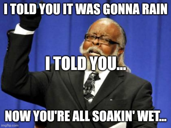 Forgot my Raincoat... | I TOLD YOU IT WAS GONNA RAIN; I TOLD YOU... NOW YOU'RE ALL SOAKIN' WET... | image tagged in too damn high,yeah this is big brain time,watermelon,waterfall,water bottle,underwater | made w/ Imgflip meme maker