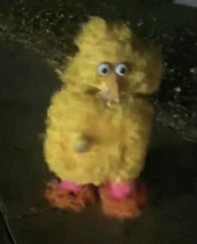 Blurry big bird Blank Meme Template
