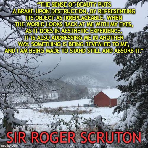 The sense of beauty puts a brake upon destruction - Sir Roger Scruton | “THE SENSE OF BEAUTY PUTS A BRAKE UPON DESTRUCTION, BY REPRESENTING ITS OBJECT AS IRREPLACEABLE. WHEN THE WORLD LOOKS BACK AT ME WITH MY EYES, AS IT DOES IN AESTHETIC EXPERIENCE, IT IS ALSO ADDRESSING ME IN ANOTHER WAY. SOMETHING IS BEING REVEALED TO ME, AND I AM BEING MADE TO STAND STILL AND ABSORB IT."; SIR ROGER SCRUTON | image tagged in winter landscape,beauty,conservative,aesthetic | made w/ Imgflip meme maker