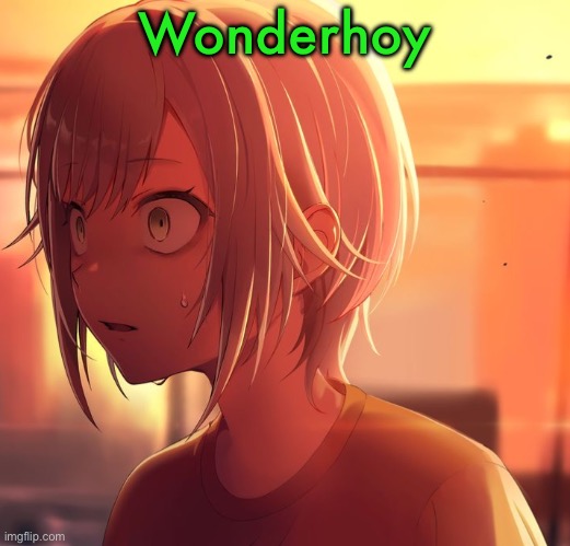 Shiho Mizu5 | Wonderhoy | image tagged in shiho mizu5 | made w/ Imgflip meme maker