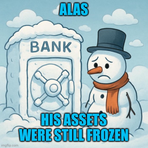 Sad snowman | ALAS; HIS ASSETS WERE STILL FROZEN | image tagged in sad snowman | made w/ Imgflip meme maker