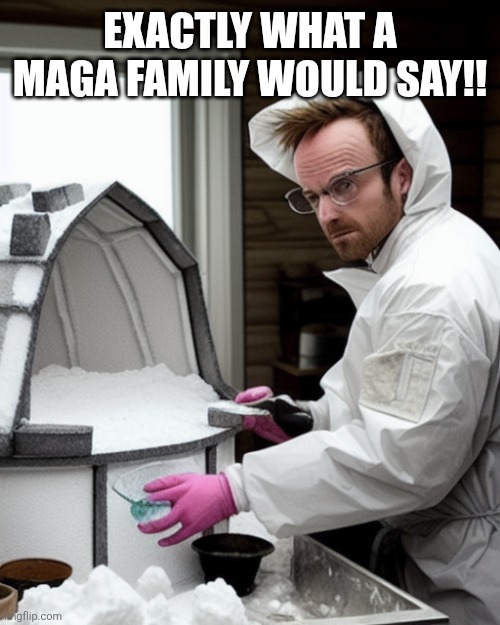 Snowcones | EXACTLY WHAT A MAGA FAMILY WOULD SAY!! | image tagged in snowcones | made w/ Imgflip meme maker