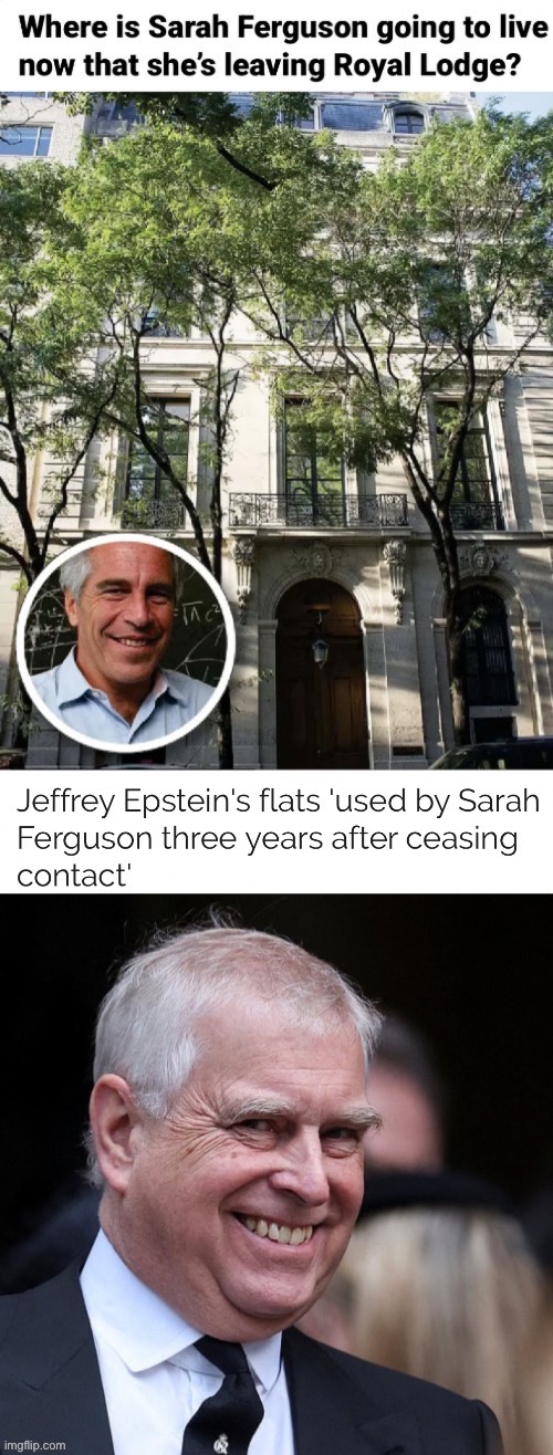 The Basking Sharks of Funerals and Christenings | image tagged in chancers,commoners,grifters,posers,liars | made w/ Imgflip meme maker