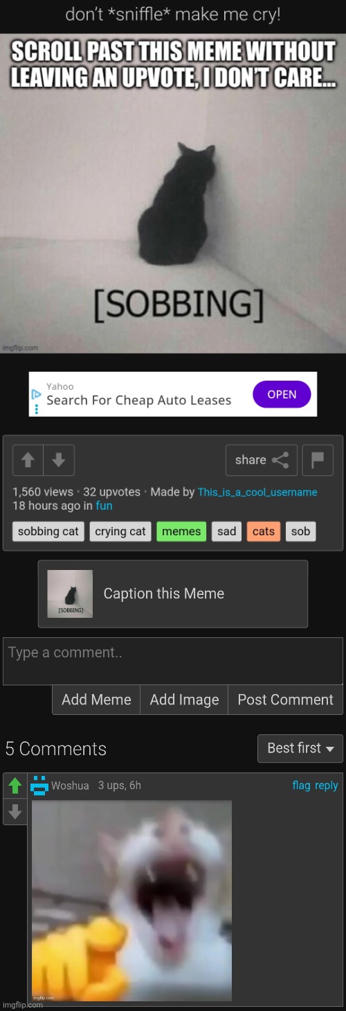 E | image tagged in imgflip,cats,crying,crying cat,boohoo,lol so funny | made w/ Imgflip meme maker