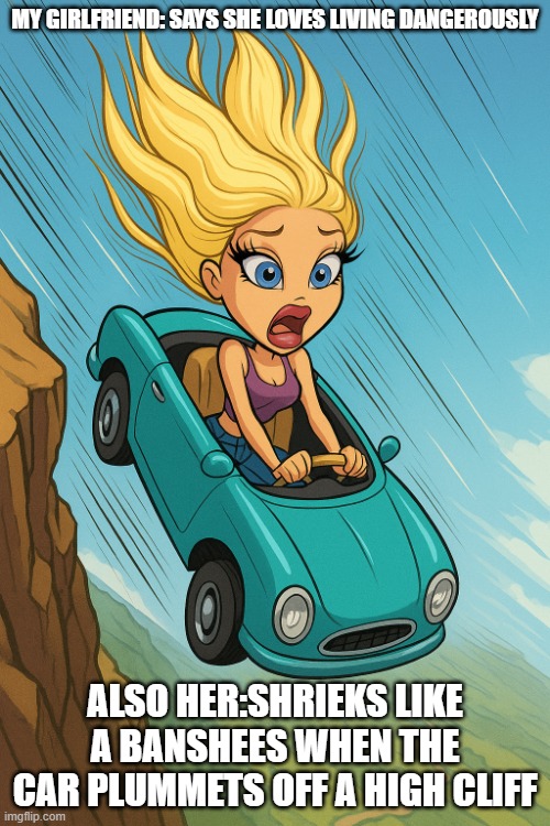 falling off cliff | MY GIRLFRIEND: SAYS SHE LOVES LIVING DANGEROUSLY; ALSO HER:SHRIEKS LIKE A BANSHEES WHEN THE CAR PLUMMETS OFF A HIGH CLIFF | image tagged in falling off cliff | made w/ Imgflip meme maker
