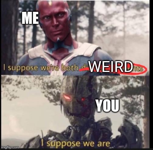 I suppose we're both disappointments | WEIRD ME YOU | image tagged in i suppose we're both disappointments | made w/ Imgflip meme maker