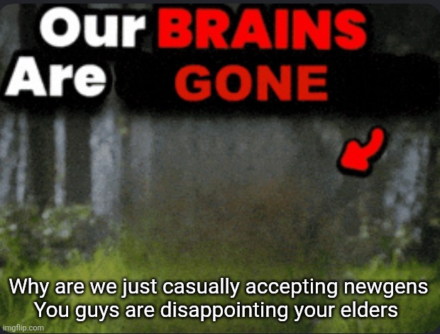 Our brains are GONE | Why are we just casually accepting newgens
You guys are disappointing your elders | image tagged in our brains are gone | made w/ Imgflip meme maker