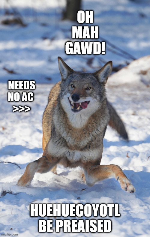 Winter Coyote | OH
MAH
GAWD! NEEDS NO AC 
>>>; HUEHUECOYOTL
BE PREAISED | image tagged in coyote | made w/ Imgflip meme maker