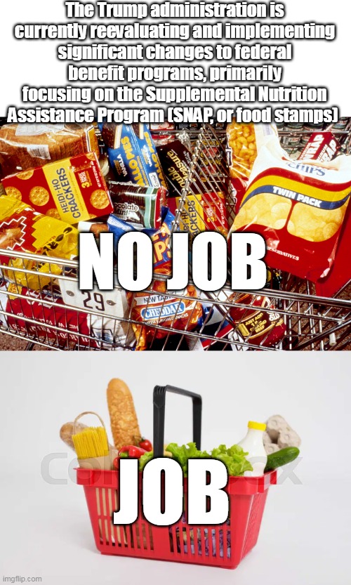 You see it every time you shop | The Trump administration is currently reevaluating and implementing significant changes to federal benefit programs, primarily focusing on the Supplemental Nutrition Assistance Program (SNAP, or food stamps); NO JOB; JOB | image tagged in reevaluate snap meme | made w/ Imgflip meme maker