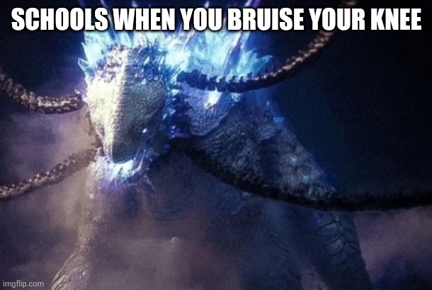 Shimo (GxK 2024) | SCHOOLS WHEN YOU BRUISE YOUR KNEE | image tagged in shimo gxk 2024 | made w/ Imgflip meme maker