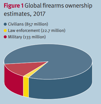 Firearms Ownership Pie graph Blank Meme Template