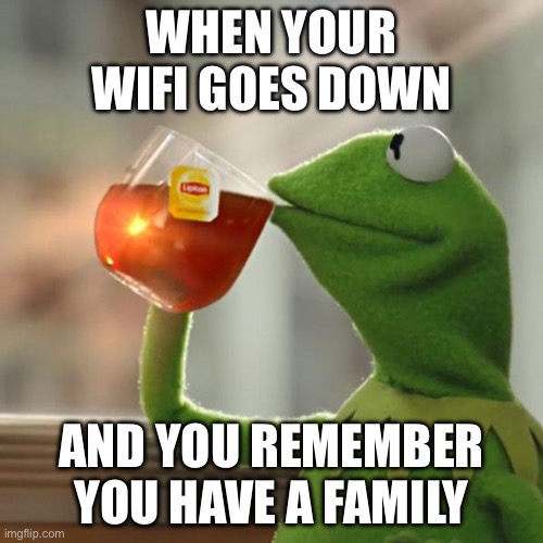 WHEN YOUR WIFI GOES DOWN; AND YOU REMEMBER YOU HAVE A FAMILY | WHEN YOUR WIFI GOES DOWN; AND YOU REMEMBER YOU HAVE A FAMILY | image tagged in memes,but that's none of my business,kermit the frog,family reunion,wifi drops,wifi | made w/ Imgflip meme maker