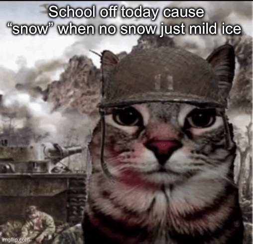 Thousand yard stare cat | School off today cause “snow” when no snow just mild ice | image tagged in thousand yard stare cat | made w/ Imgflip meme maker