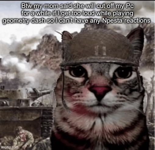 Thousand yard stare cat | Btw my mom said she will cut off my Pc for a while if I get too loud while playing geometry dash so I can’t have any Npesta reactions | image tagged in thousand yard stare cat | made w/ Imgflip meme maker